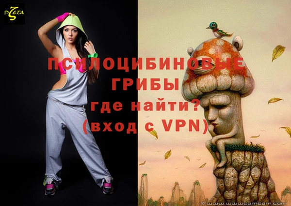 СК Алексеевка